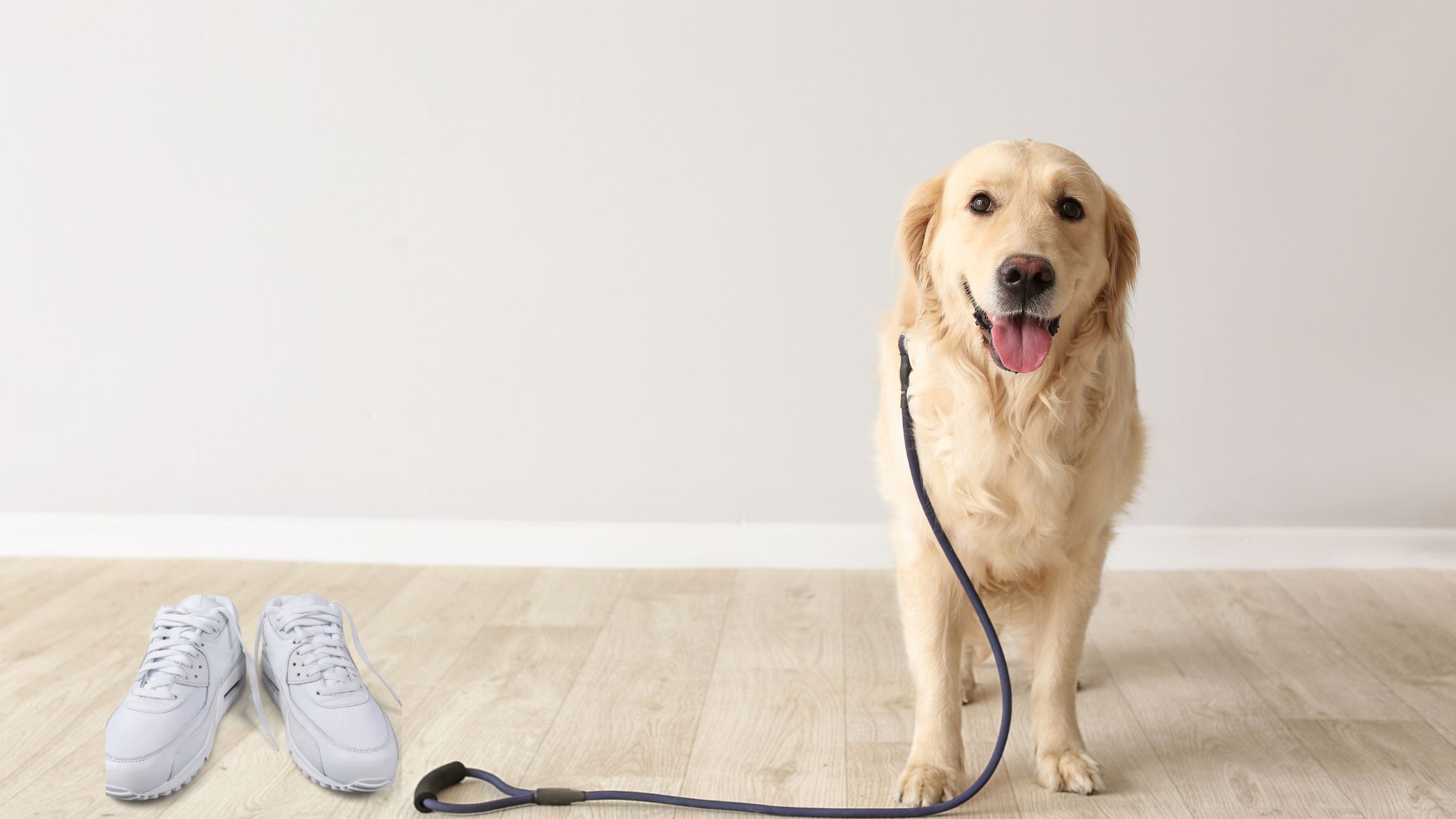 Steps to make healthy habits stick. Habit stacking by combining dog walk with exercise and meditation.