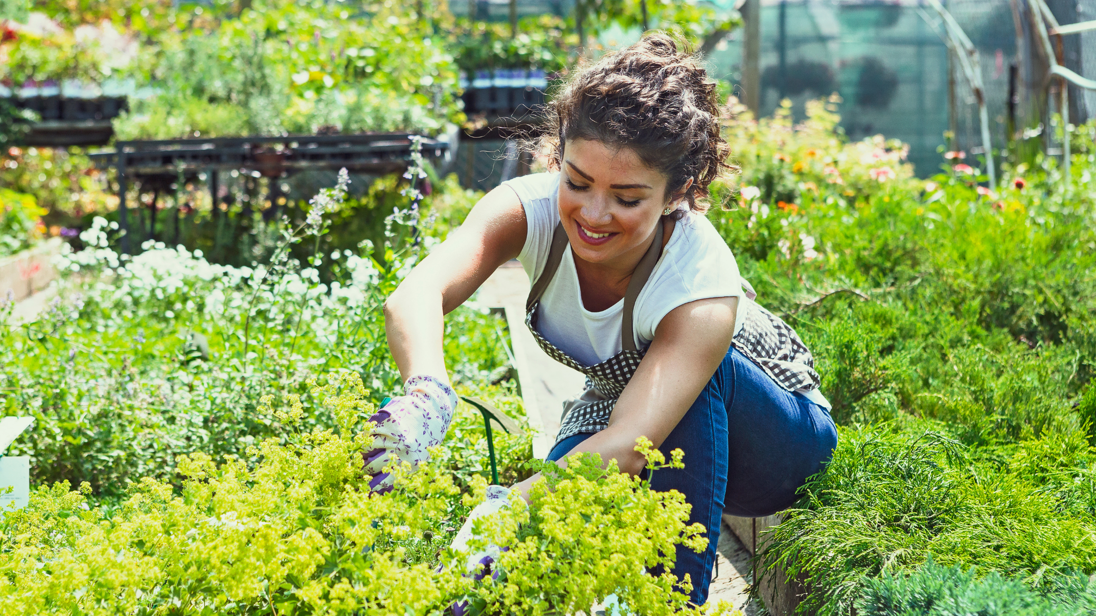 Daily Exercise Ideas Activities Person Gardening